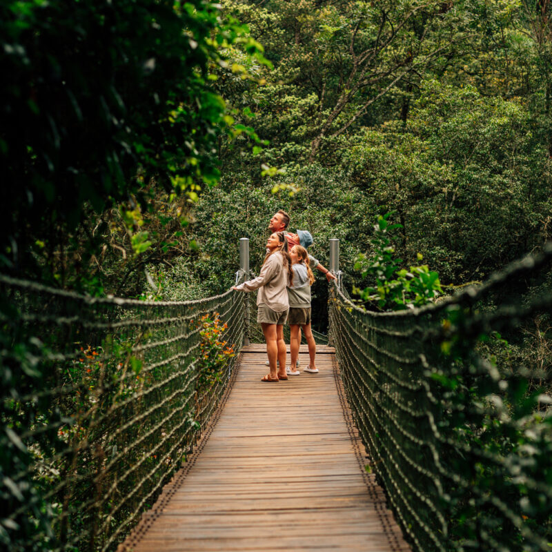 Shiviko Kruger family on bridge in forest scaled