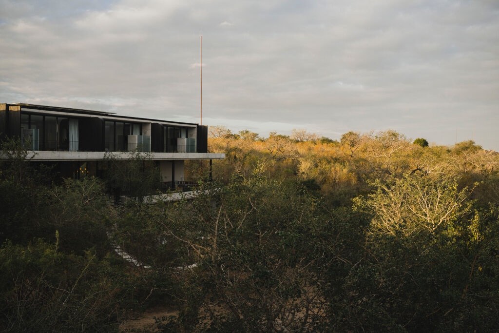 Shiviko Kruger vill and vegetation Shiviko Kruger vill and vegetation